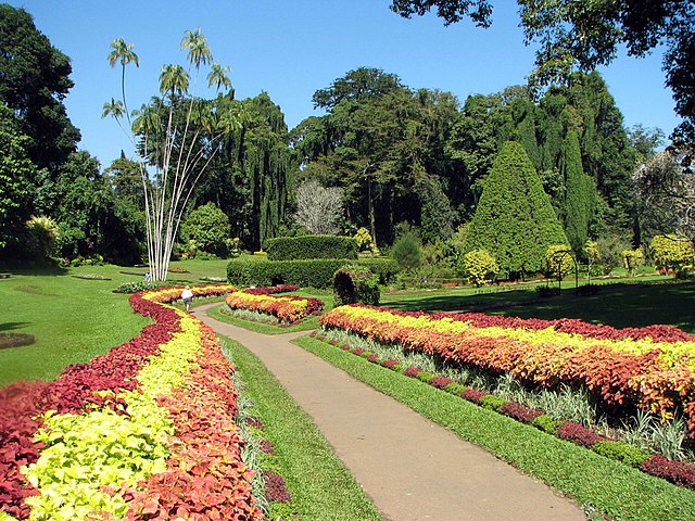 Peradeniya Botanical Garden