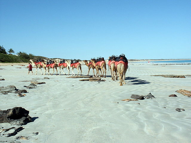 Cable_Beach,_Western_Australia