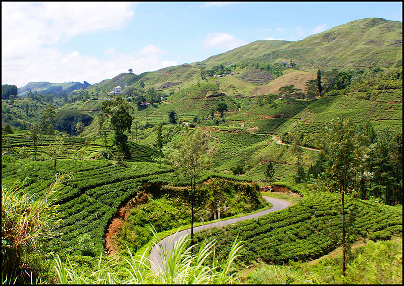 Hill Country Sri Lanka