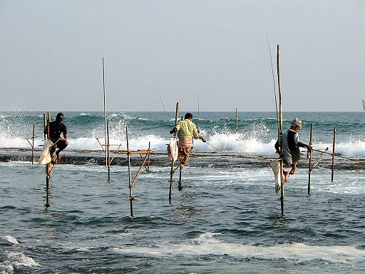 Stilts fishermen Sri Lanka 