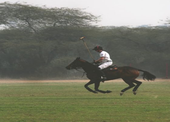 Polo Tournament