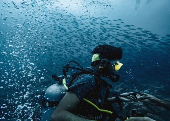 Expertise on Underwater Exploration