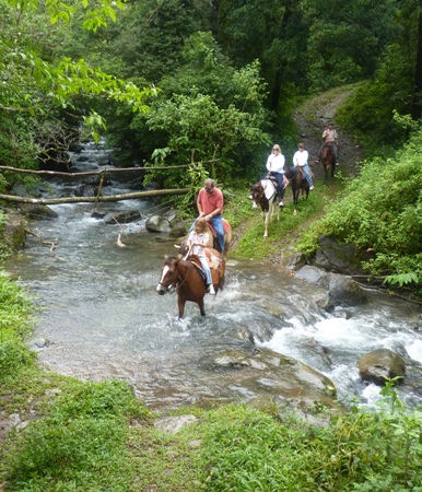 Horse Riding 