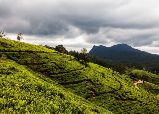Beautiful Nuwara Eliya