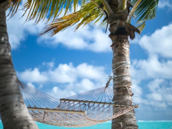 Ecotourism in the Maldives