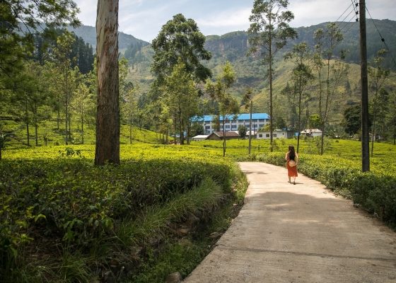 Nuwara Eliya, enveloped by green mountains