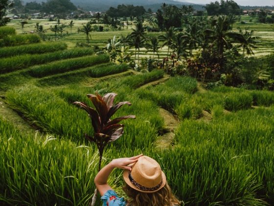 Coolest Things to do in Bali