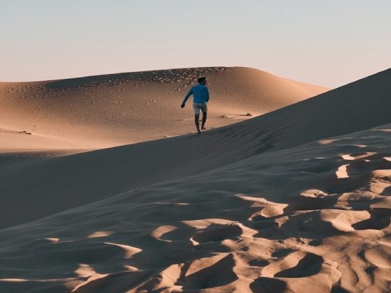 Liwa Oasis - paradise of sand