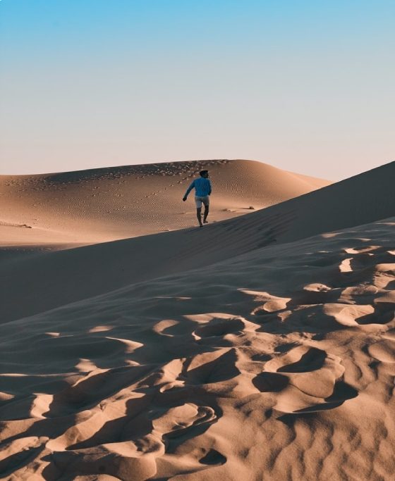 Liwa Oasis - paradise of sand