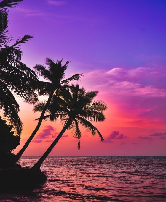 Vacation in Maldives