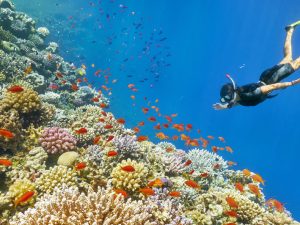 A Day Exploring the Nusa Islands in Bali – Experience the Enchanting ...