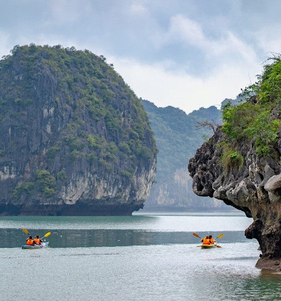 Bhaya Cruises