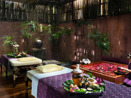 Wellness Retreats