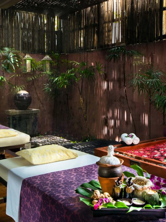 Wellness Retreats