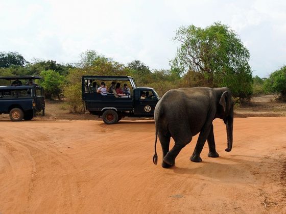 Yala National Park