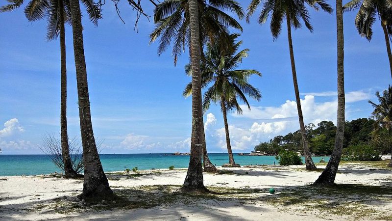 Andrian Vernandes, Coconut Tree and The Blue-Green Sea, Pantai Trikora, Kabupaten Bintan