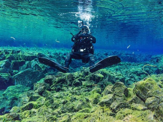 Diving