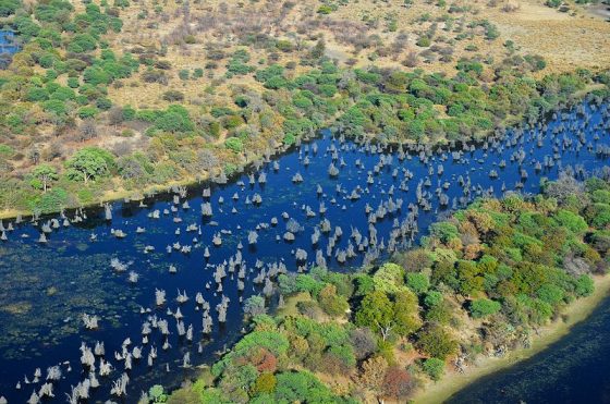 Okavango Delta