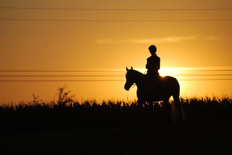 Horse Riding at Sunset