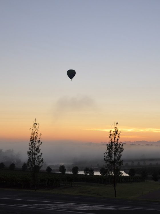 hot air balloon in Hunter Valley