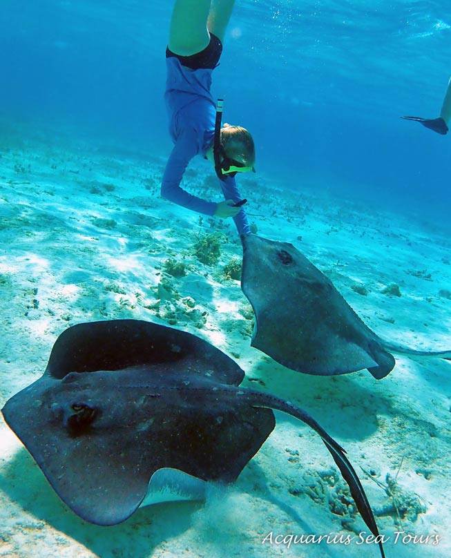 Snorkelling