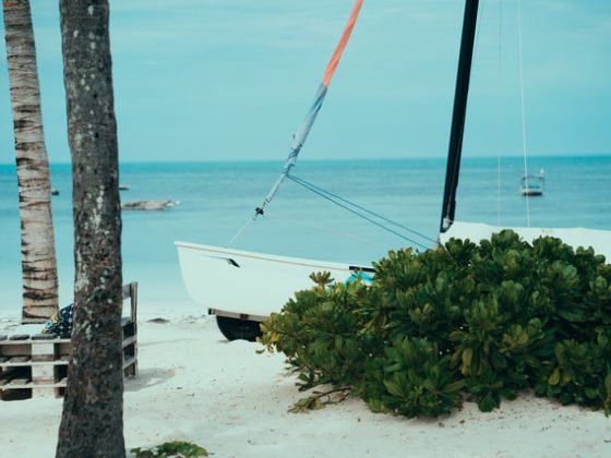 zanzibar