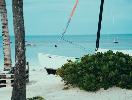 zanzibar