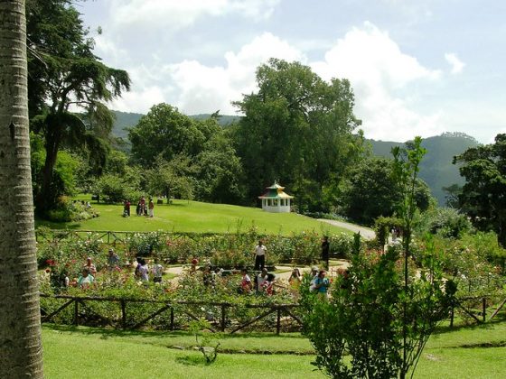 Hakgala Botanical Gardens