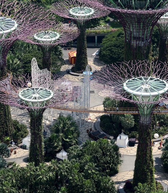Gardens by the Bay