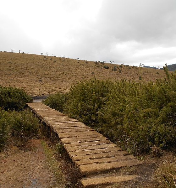 Horton Plains National Park