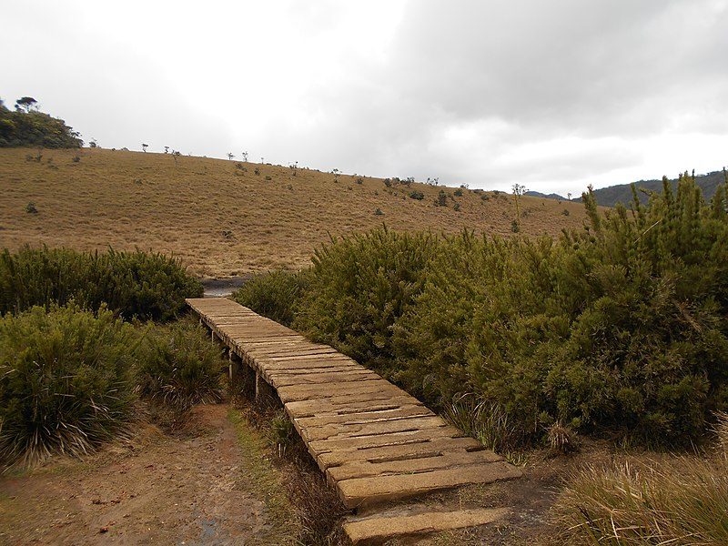 Horton Plains National Park