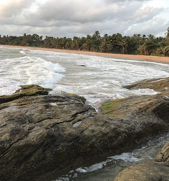 Bentota Beach View