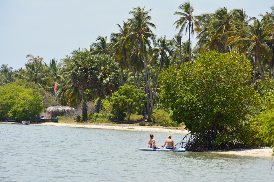 Bentota River Safari