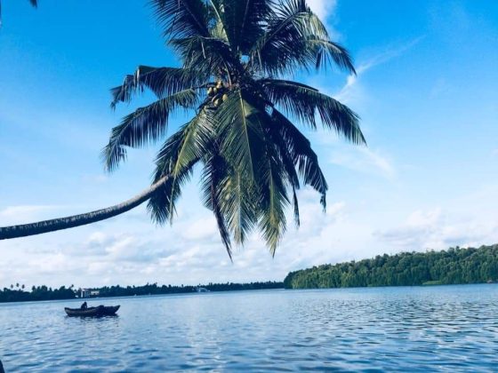 Bentota River