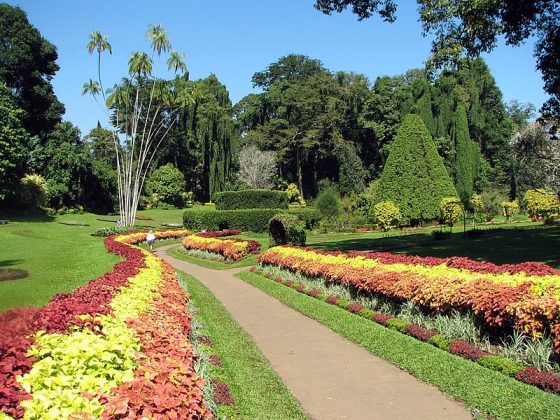 Botanical_Garden_of_Peradeniya