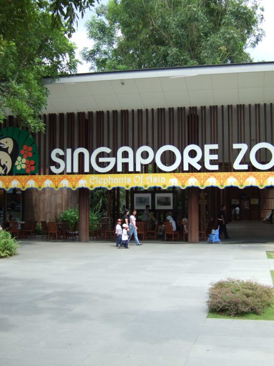 Singapore Zoo