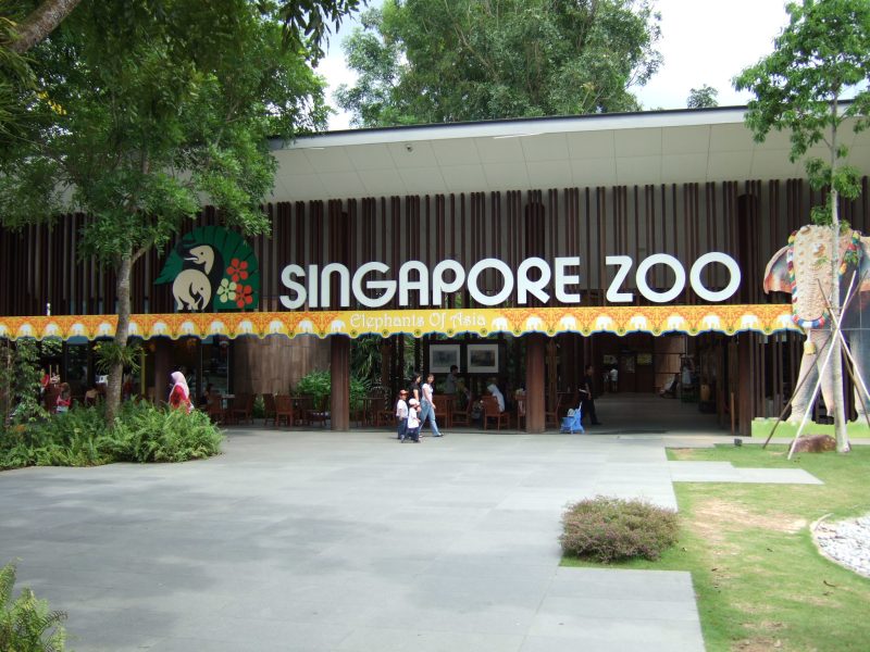 Singapore Zoo