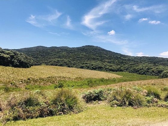 Horton Plains