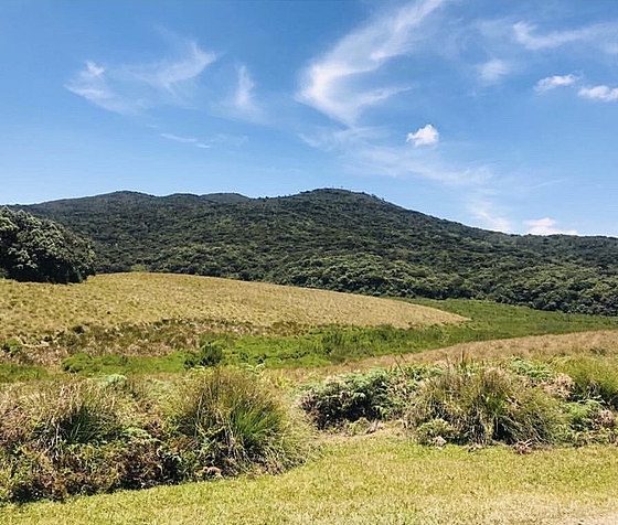 Horton Plains