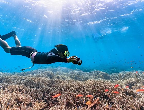 Snorkeling