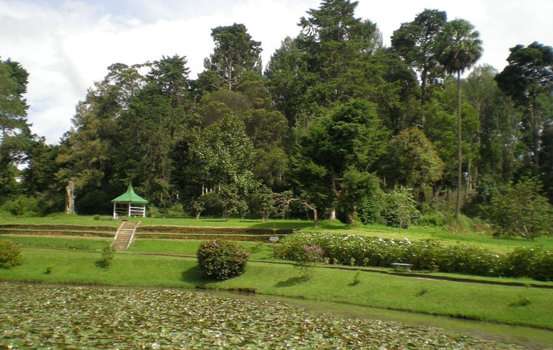 VictoriaPark