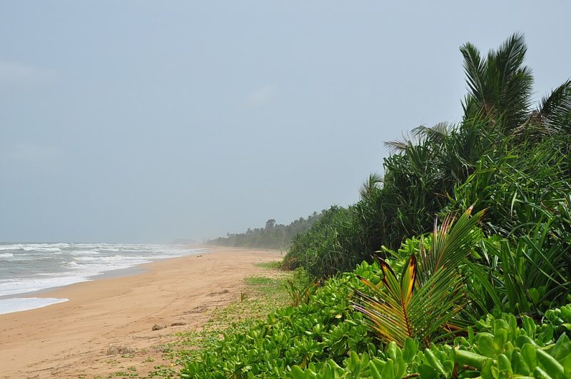 Sri_Lanka,_Bentota,_beach