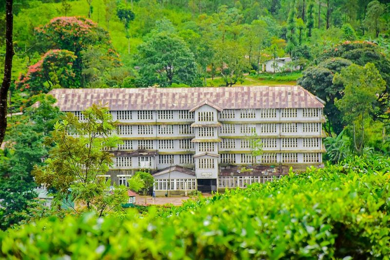 Tea factory