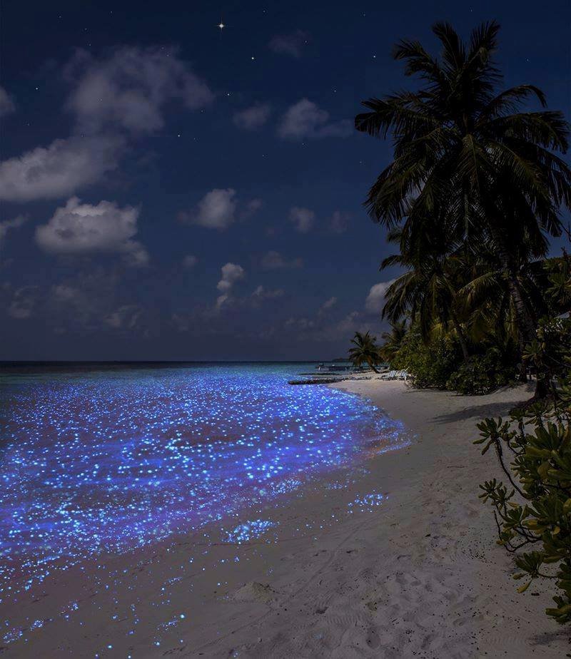 Maldives, Sea of ​​Stars