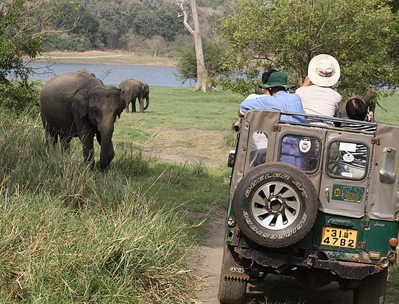 Minneriya National Park