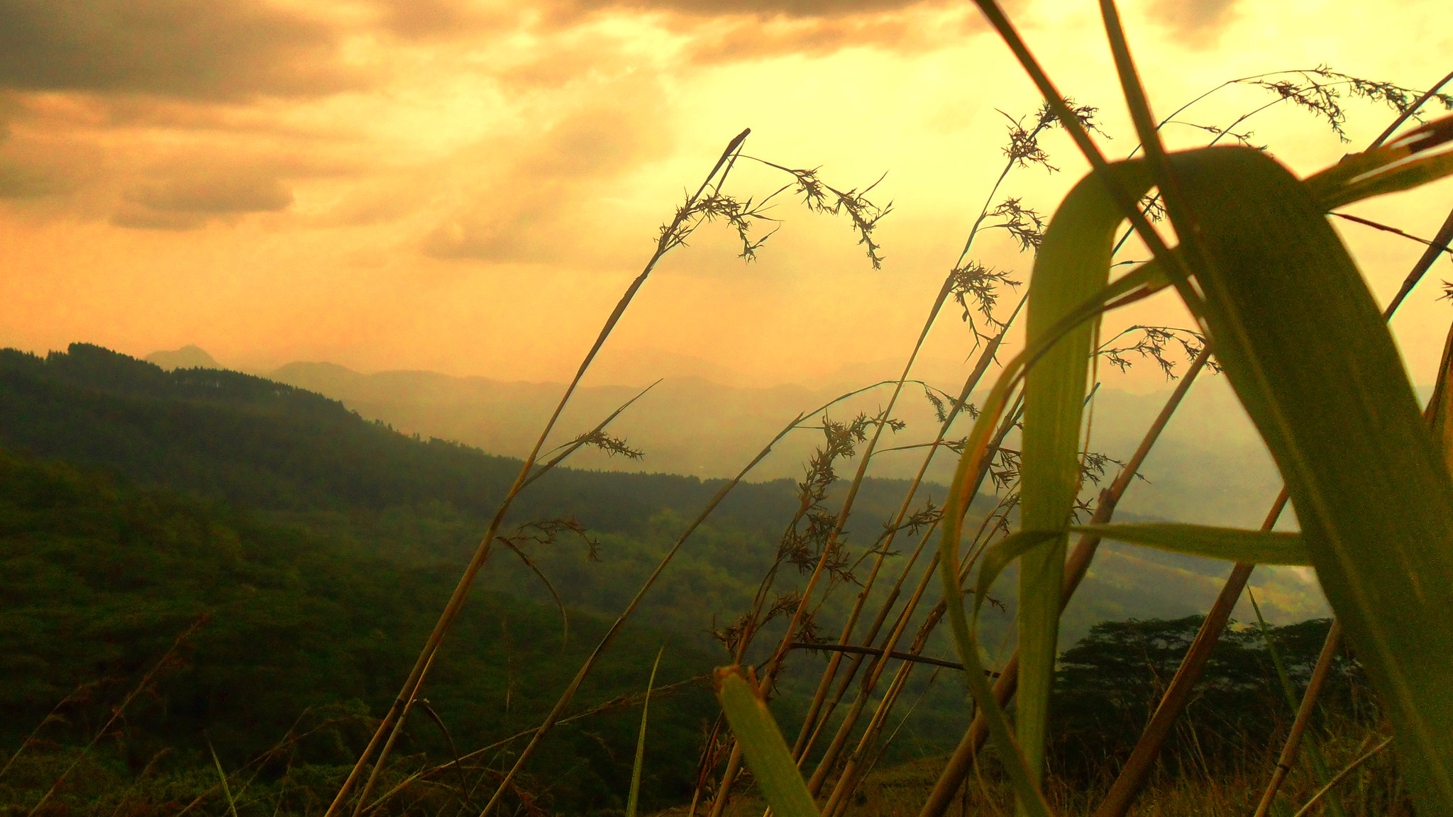 Mountain Sunset