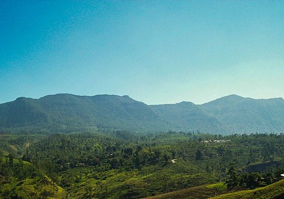 Nuwara Eliya Mountains