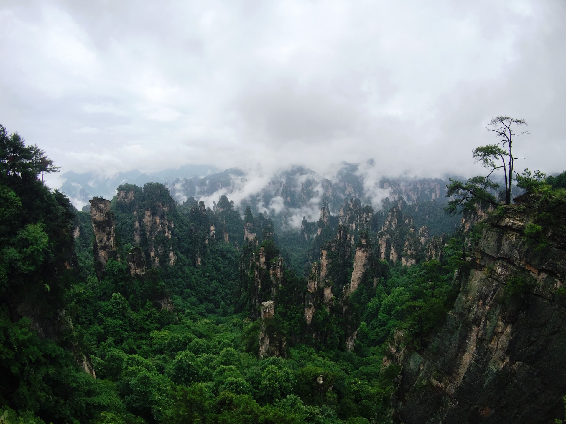 Zhangjiajie National Forest Park, Zhangjiajie, China