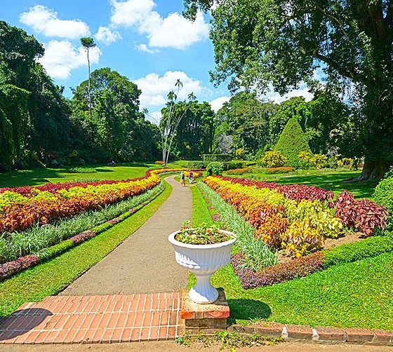 botanical gardens