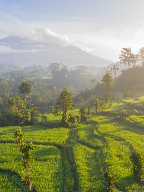 Bali